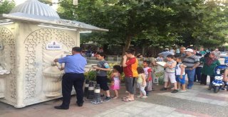 Sıradan kiraz: kullanışlı özellikleri ve kontrendikasyonları 37