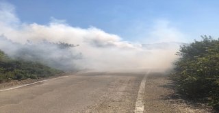 Rally Şampiyonasında Kaza