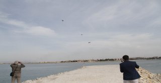 Beyşehir Gölünde Paraşütle Nefes Kesen Eğitim Tatbikatı