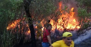 Siirtte 3 Gündür Süren Orman Yangını, Güçlükle Söndürüldü