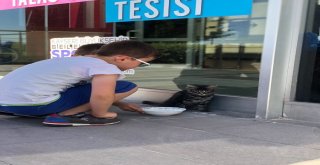 Su Giderine Sıkışan Kediyi Çocuklar Kurtardı