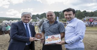 Ata Sporları Rekor Kırdı