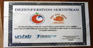 Sakin Şehir Unvanlı Eğirdirde Dezenfeksiyon Savaşı Başlatıldı
