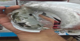 Zabıta Ekipleri Zincir Marketleri Denetledi