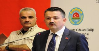 Bakan Pakdemirli: “Döviz Baskısına Karşı Tarımsal İhracatımızı Artırmalıyız”