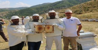 Siirtte Yılın İlk Balı Toplandı