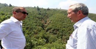 Turgutlunun Mahallelerine Konforlu Ulaşım