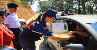 Sürücüye Kırmızı Karanfil, Çocuklara Kırmızı Düdük