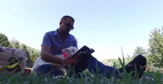 (Özel Haber) Kuzu Değil Sanki Sultan