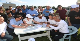 3. Geleneksel Çermik Festivalinde Erzurumun En Güzel Buzağıları Yarıştı