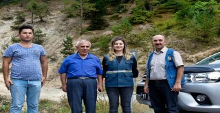 Zigananın Ormanları Ondan Soruluyor