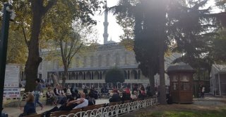 İntihar Etmek İçin Sultanahmet Camiindeki Ağaca Çıktı, Dal Kırılınca Düştü