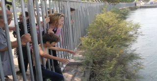 Sulama Kanalında Kaybolan Raminin Yakınları Yürekleri Dağladı