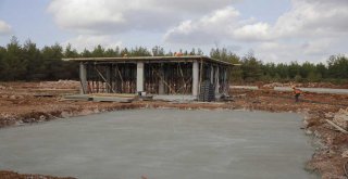 BÜYÜKŞEHİR, SOKAK HAYVANLARI BAKIM EVİ İNŞASINA BAŞLADI