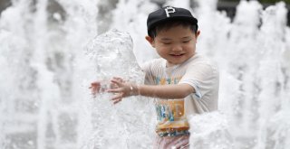 Güney Korede Aşırı Sıcaklar Ölümlere Neden Oluyor