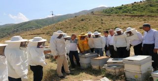 Siirtte Yılın İlk Balı Toplandı