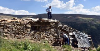 Sıcaktan Sığındıkları Kulübede Telef Oldular