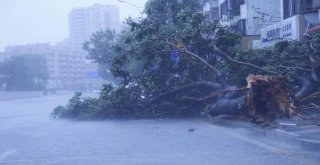 Mangkhut Tayfunu Çine Ulaştı: 2 Ölü