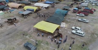 Kurban Pazarındaki Hareketlilik Havadan Görüntülendi