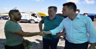 Çorluda Kurban Satış Merkezi Hazır