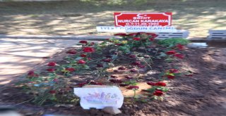 Şehit Annenin Mezarına Doğum Günü Ziyareti