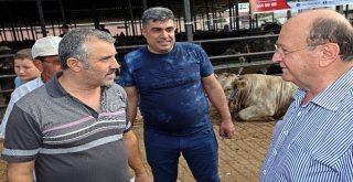 Başkan Özakcan Hayvan Pazarında Vatandaşlarla Buluştu