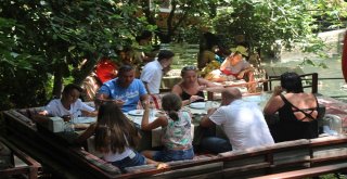 Ulupınar Sıcaktan Bunalanların Akınına Uğruyor