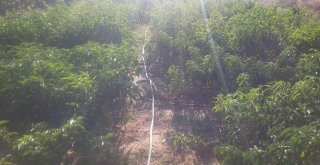 Usulsüz Su Kullananlara Geçit Yok