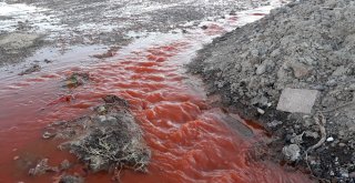 (Özel) İslahiyeyi Biber Suyu Bastı