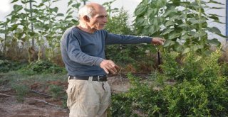 Süryani Vatandaşının Örnek Köy Mücadelesi