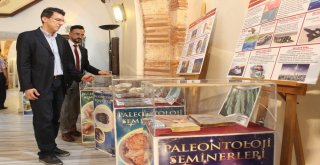 Bu Sergide Milyonlarca Yıl Önce Yok Olmuş Canlıları Görmek Mümkün