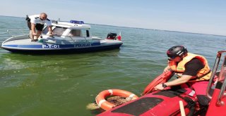 Ava Giden Kartal Boğulmaktan Son Anda Kurtarıldı