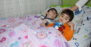 Ncl Hastası 2 Çocuğa Tekerlekli Sandalye