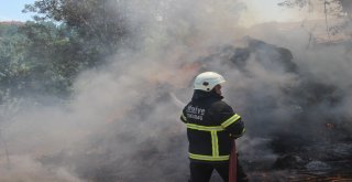 Çöpleri Yakmak İsterken 800 Saman Balyasını Küle Çevirdi