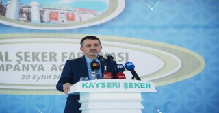 Bakan Pakdemirli: Türkiyenin Şeker İhtiyacının Yüzde 95İ Yerli Üretim Şeker Pancarı İle Karşılanıyor