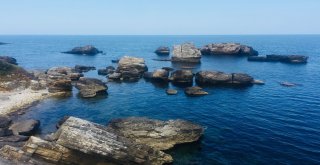 Saklı Cennet Sardala Koyunu Kirlettiler