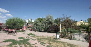 Cumhurbaşkanın Çağrısı Tarihi Kale Parkında Hayat Buldu