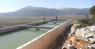 Antalya Büyükşehir Belediyesi, Tarıma 4 Yılda 210 Milyondan Fazla Destek Sağladı