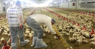 Bahadır, Yatırımı Tamamlanan Projeleri İnceledi