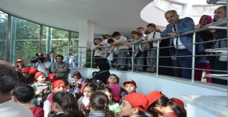 Kaplanların Beslenme Saati Nefesleri Kesti
