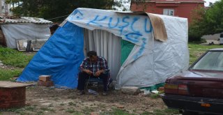 Çadırda Yaşam Mücadelesi