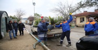 Fidanlar Yeniden Yeşil Bursa İçin Toprakla Buluştu