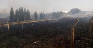 Hayraboluda Otluk Alanda Yangın