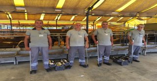 (Özel) İbb Kurban Timi Görevde