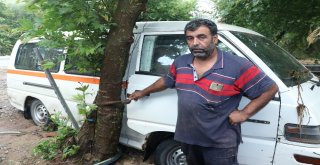 Selin Vurduğu Ballıkayalar Gündüz Görüntülendi