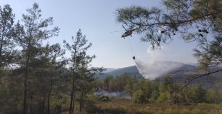 Orman Yangını Yerleşim Yerine Sıçramadan Söndürüldü