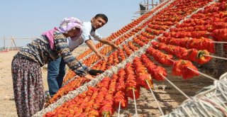 Aşırı Sıcaklıklar Bir Tek Onlara Yaradı