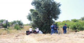 Manavgat Sidede Erkek Cesedi Bulundu