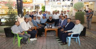 Başkan Atilladan Çınar Ve Bismile Çıkarma