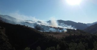 Gümüşhanede Örtü Yangını